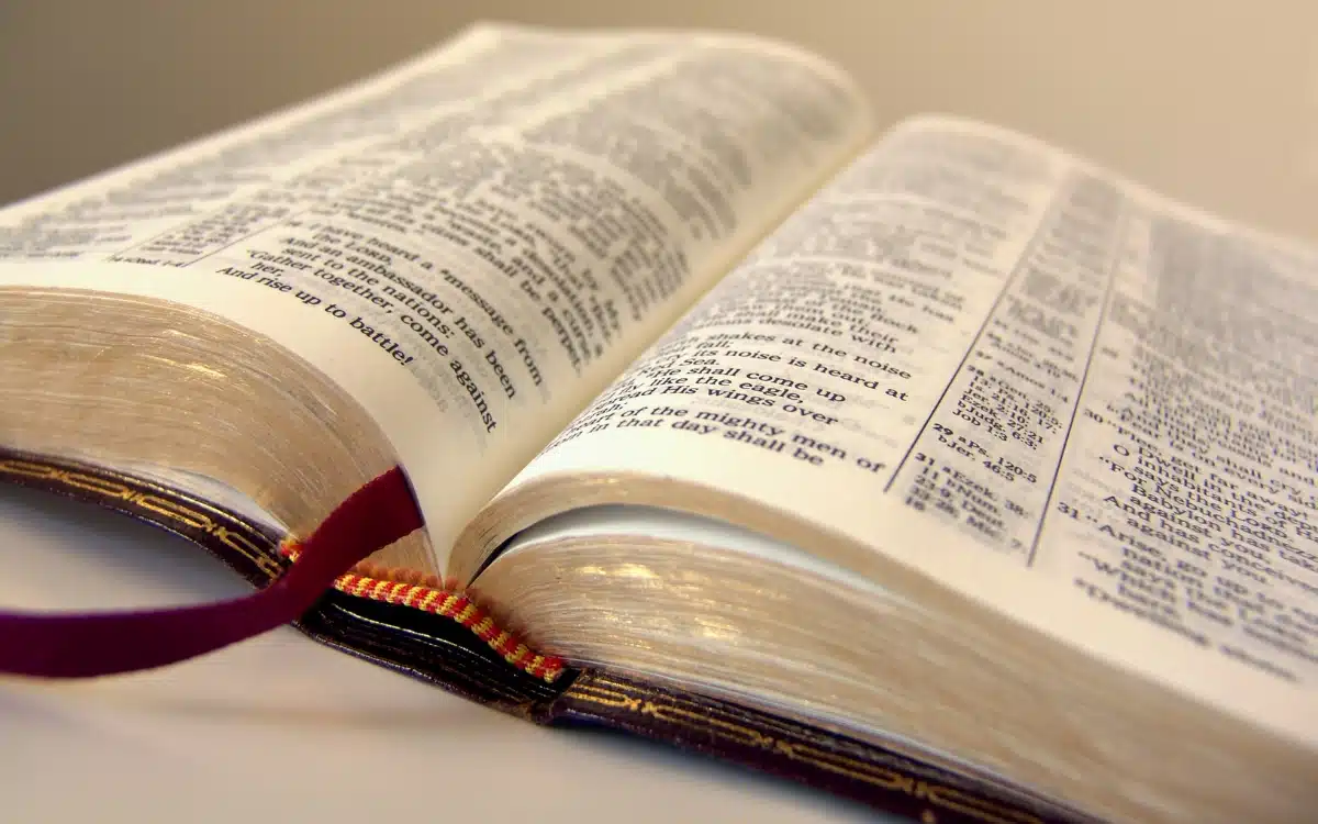 O Livro dos Salmos deve estar sempre aberto para a leitura diária, pois os tipos de Salmos são muitos eficazes para nosso aprendizado e espiritualidade Bíblica.
